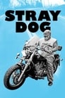 Poster for Stray Dog