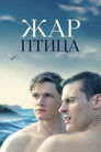 Постер: Firebird