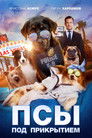 Постер: Псы под прикрытием