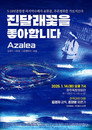 Azalea
