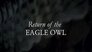 Return Of The Eagle Owl