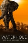 Waterhole: Africa's Animal Oasis Episode Rating Graph poster