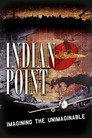 Indian Point: Imagining the Unimaginable