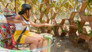 Image Ilhados com a Sogra