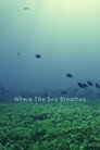 Where The Sea Breathes