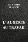 L'Algérie au travail