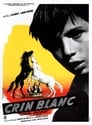 Crin blanc: Le cheval sauvage