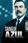 Temporada 10