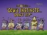 Cow's Instincts...Don't It?