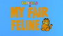 Garfield and Friends 7x10