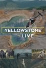 Yellowstone LIVE (2018)
