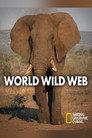 Plakat for 'World Wild Web'