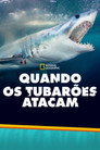 Temporada 4