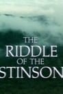 Movie poster for The Riddle of the Stinson