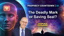 The Deadly Mark or Saving Seal?