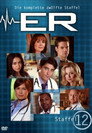 Staffel 12