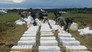 Era of the Drug Lords