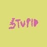 Stupid Co