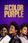 The Color Purple poster