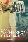 El caso Wanninkhof – Carabantes (2021)