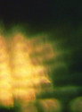 Departure (1997c)