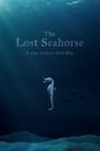فيلم The Lost Seahorse 2021 مترجم اونلاين