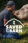 Saved By The Barn Episode Rating Graph poster