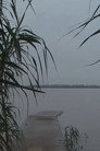 Tongjing