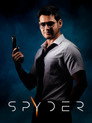 Spyder