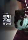 시즌 1