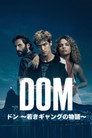 ドン ～若きギャングの物語～