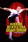 Постер: Martial Arts of Shaolin