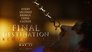 2025 - Final Destination: Bloodlines thumb