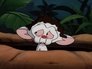 Welcome to the Jungle