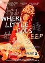 Where Little Gods Sleep