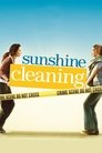 Sunshine Cleaning poster