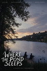 Where The Pond Sleeps