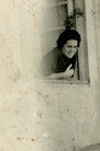 The Window