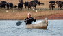 The Zambezi
