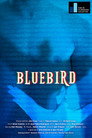 Bluebird