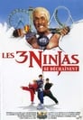 Ninja Kids 4 : Les 3 Ninjas se déchaînent