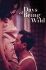 Days of Being Wild