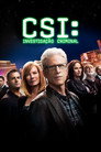 Temporada 12