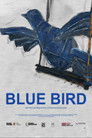 Blue Bird