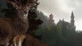 Neuschwanstein: The False Paradise