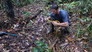 Guyana Giants