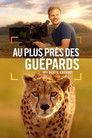 Au plus près des guépards avec Bertie Gregory Voirfilms