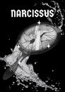 narcissus