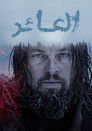 العائد