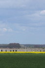 From Afar